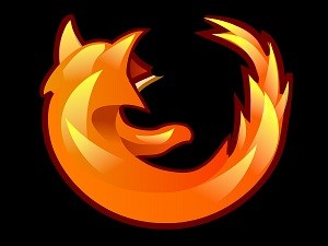 Firefox Log - Security Flaw